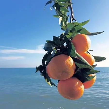 Casa Poli 蒙科法尔